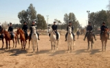 "Dutch - Turkish Mounted Police" Project